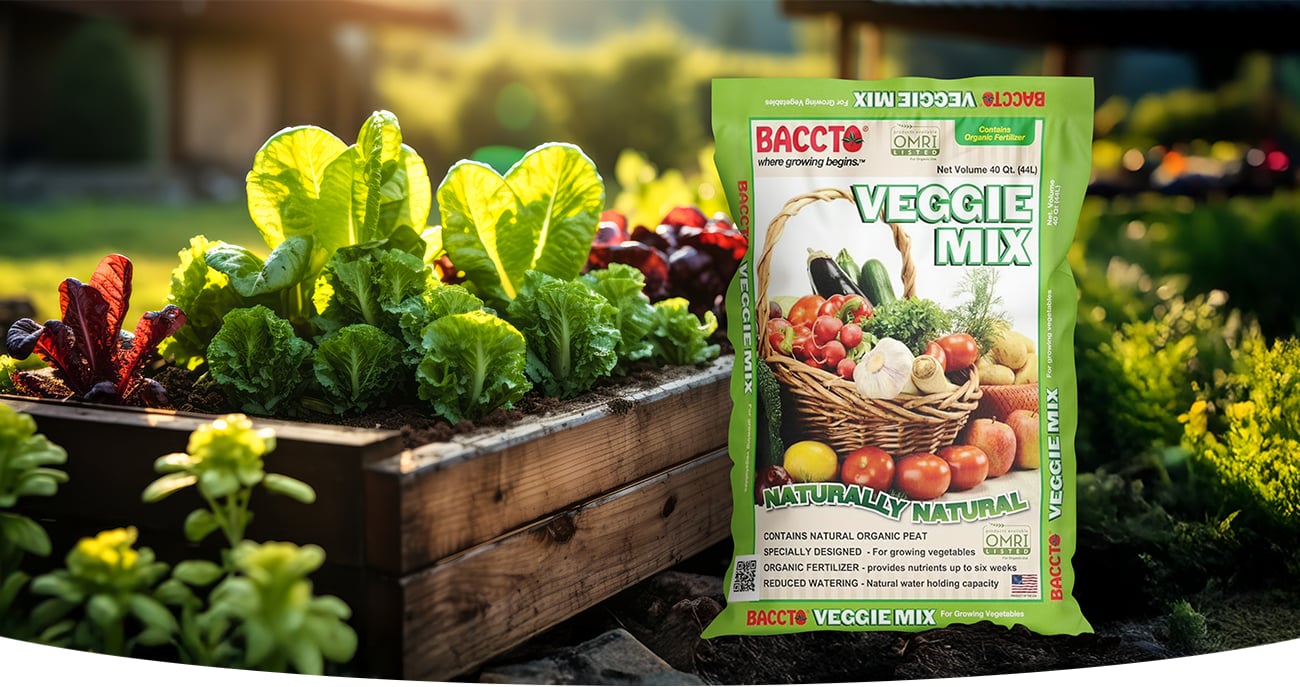 BACCTO growing media &mdash; Michigan peat bogs