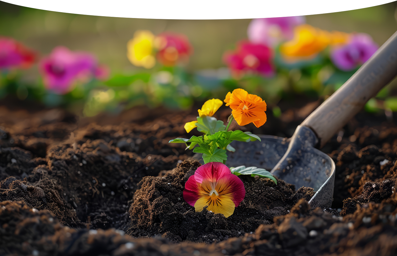 Let&rsquo;s Talk About Your Project